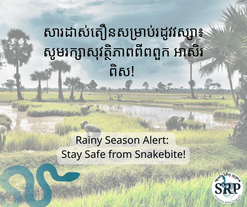 សារដាស់តឿនសម្រាប់រដូវវស្សា៖ សូមរក្សាសុវត្ថិភាពពីពពួក អាសិរពិស! 
Rainy Season Alert: Stay Safe from&nbsp;Snakebite!
